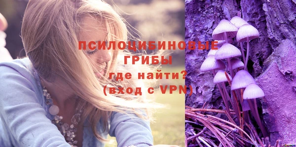 синтетический гашиш Медвежьегорск
